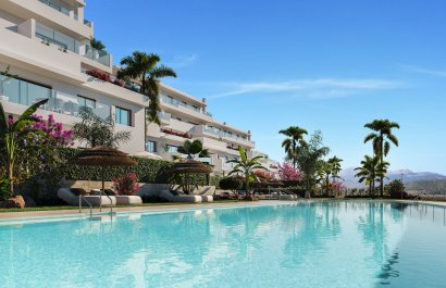 Daszek - Nowy budynek - Buenas Noches - Buenas Noches