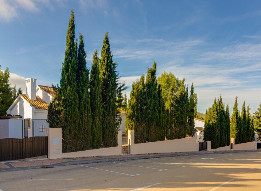 New Build - detached - Fuente Alamo