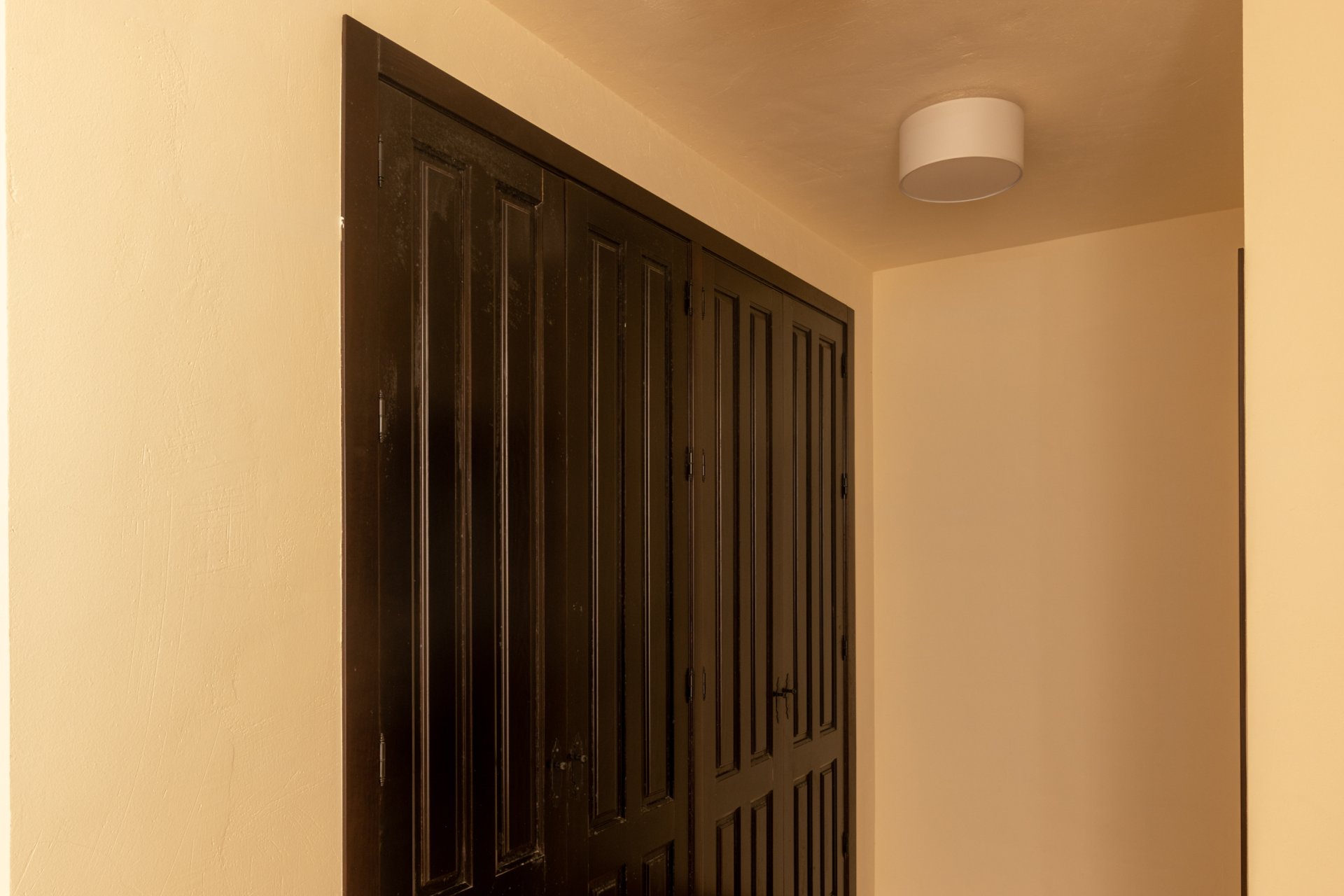 New Build - detached - Fuente Alamo