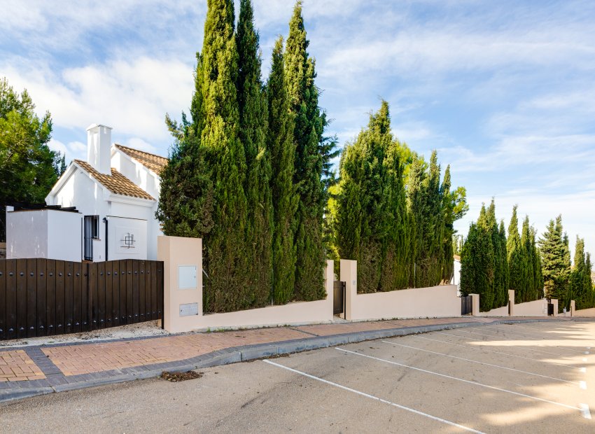 New Build - detached - Fuente Alamo