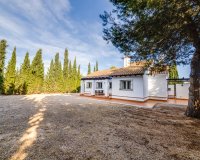 New Build - detached - Fuente Alamo