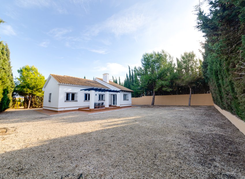 New Build - detached - Fuente Alamo