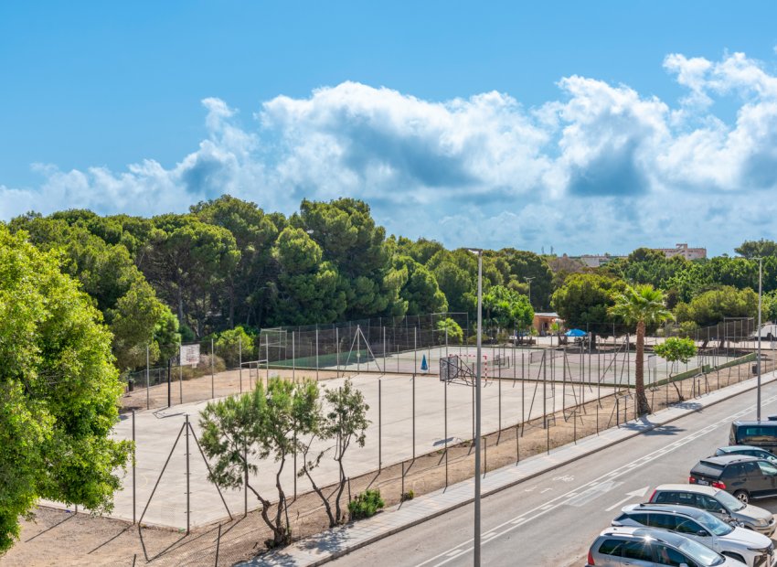 New Build - detached - Pilar de la Horadada