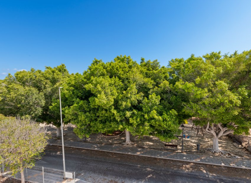 New Build - detached - Pilar de la Horadada