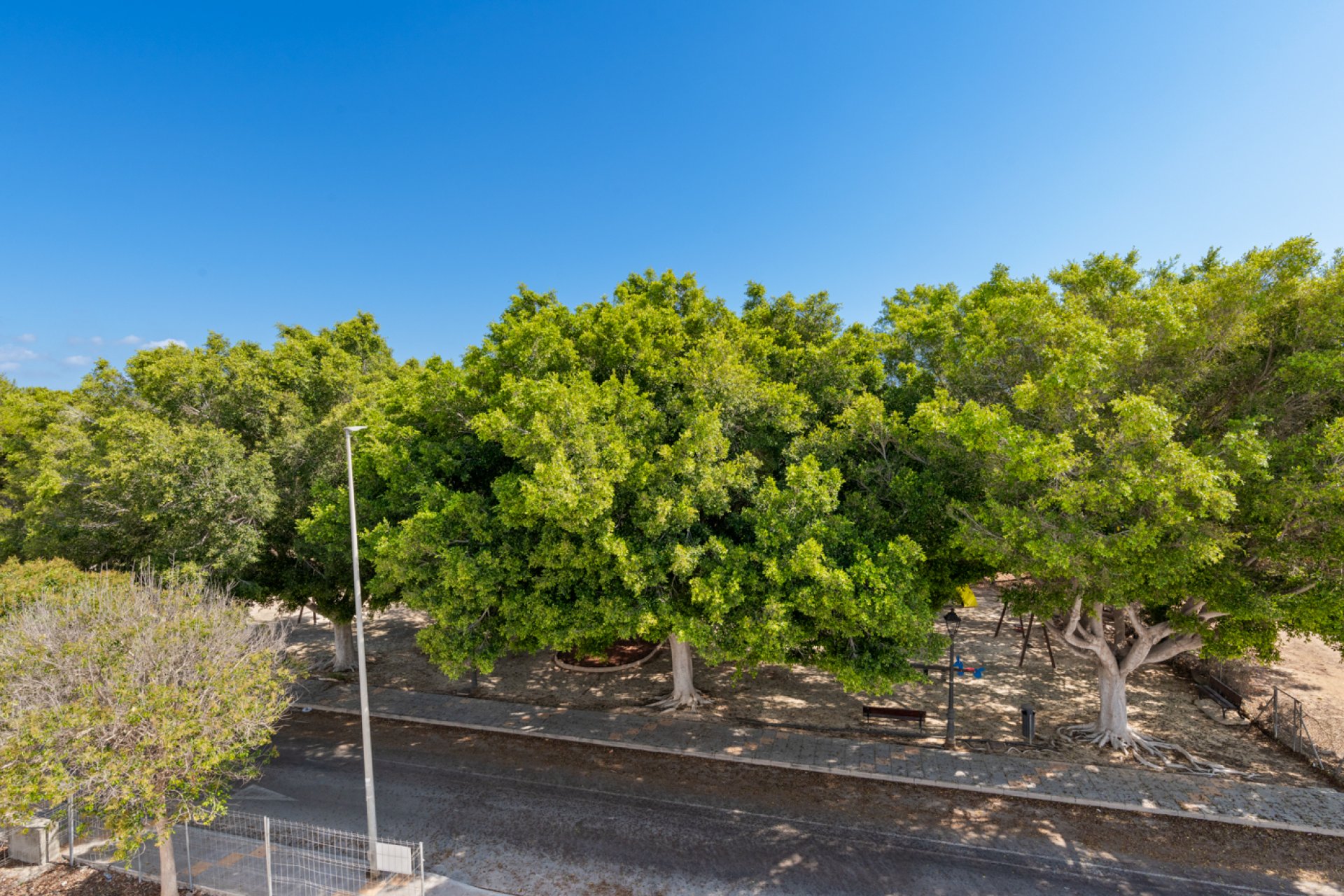 New Build - detached - Pilar de la Horadada