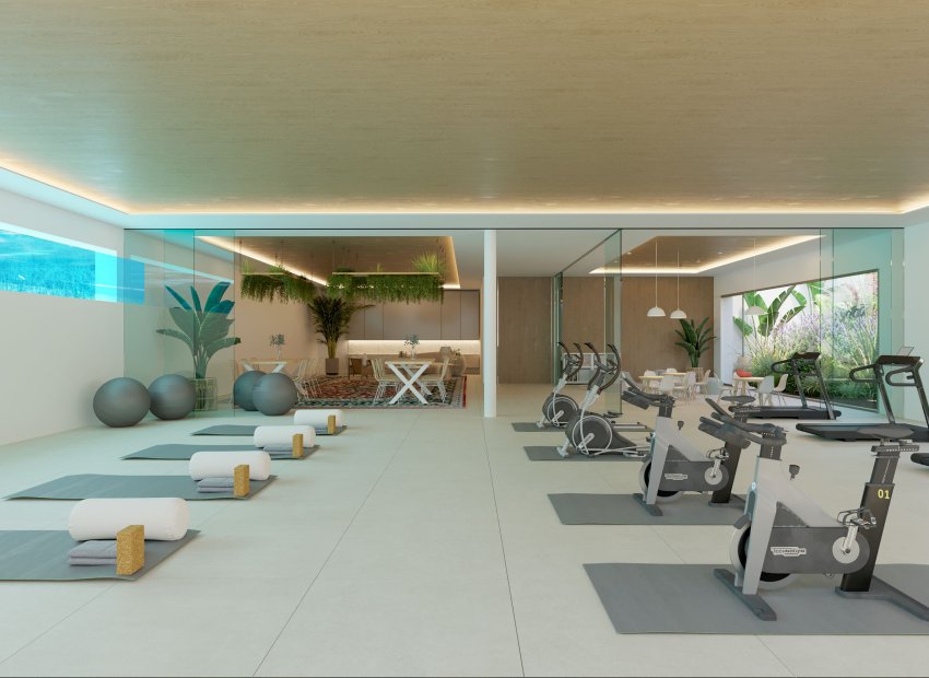 New Build - Penthouse - Casares Costa