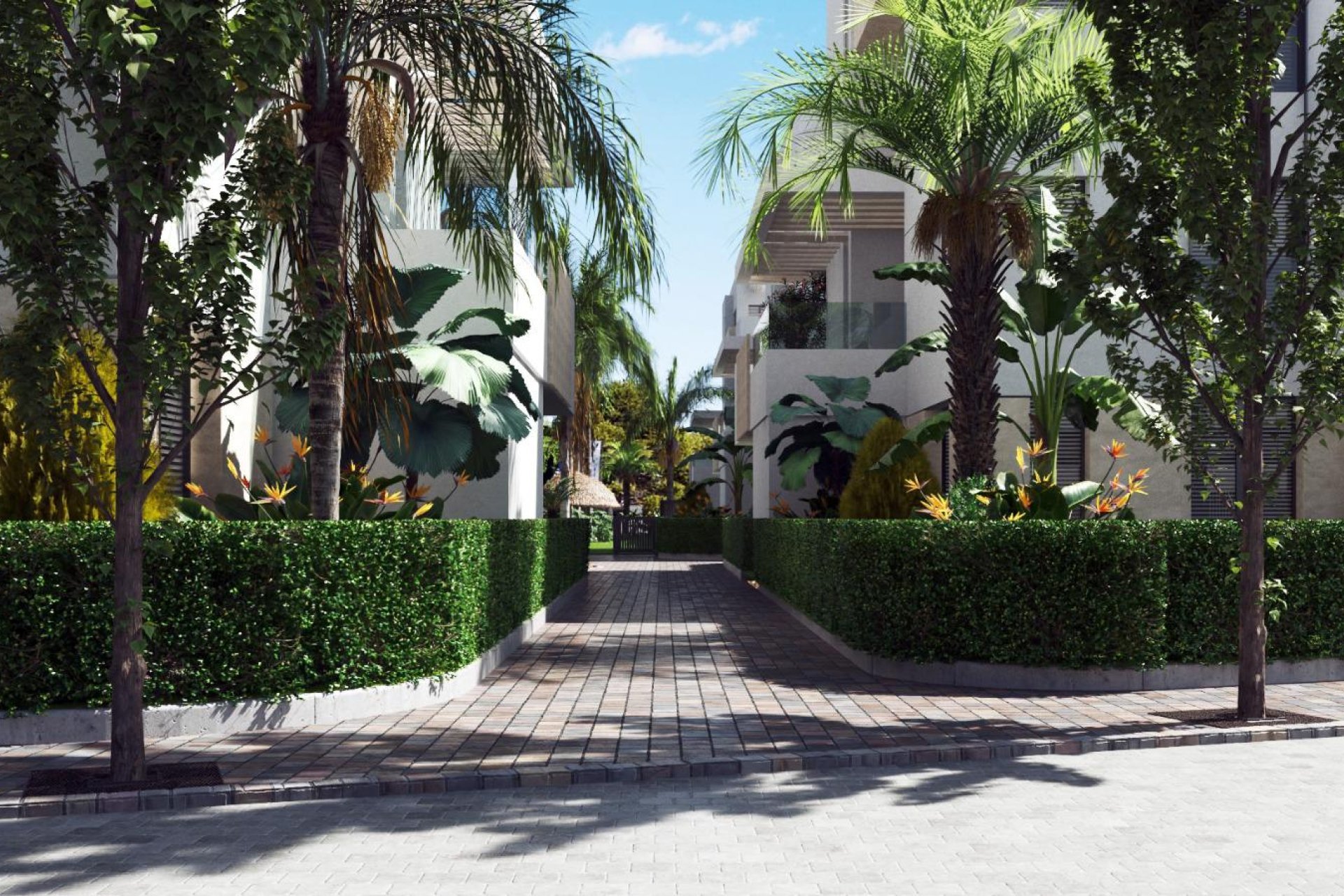 New Build - Penthouse - Torre-Pacheco