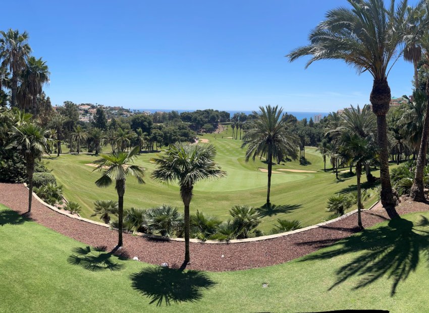 Nowy budynek - apartment - Benalmádena