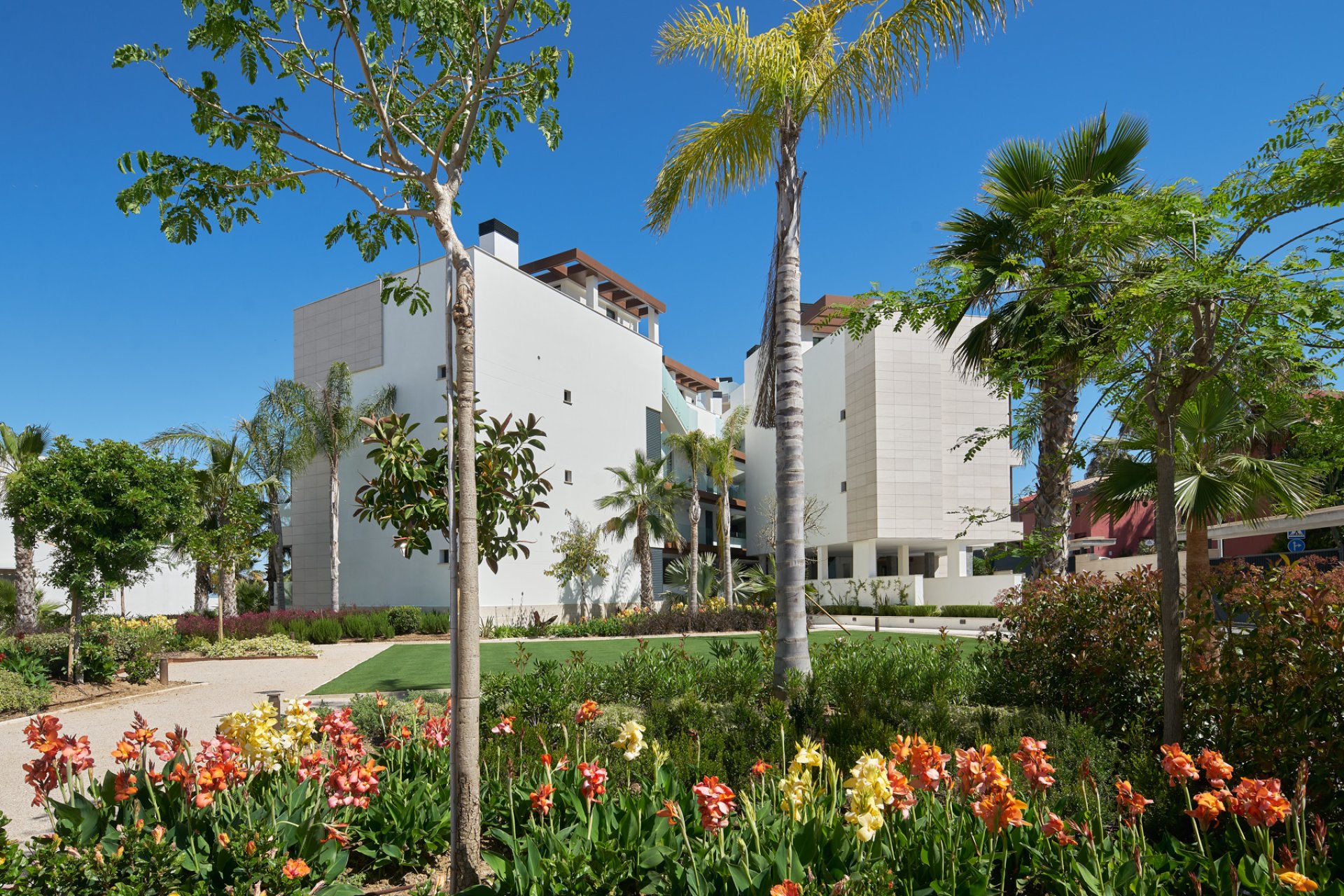 Nowy budynek - apartment - Estepona