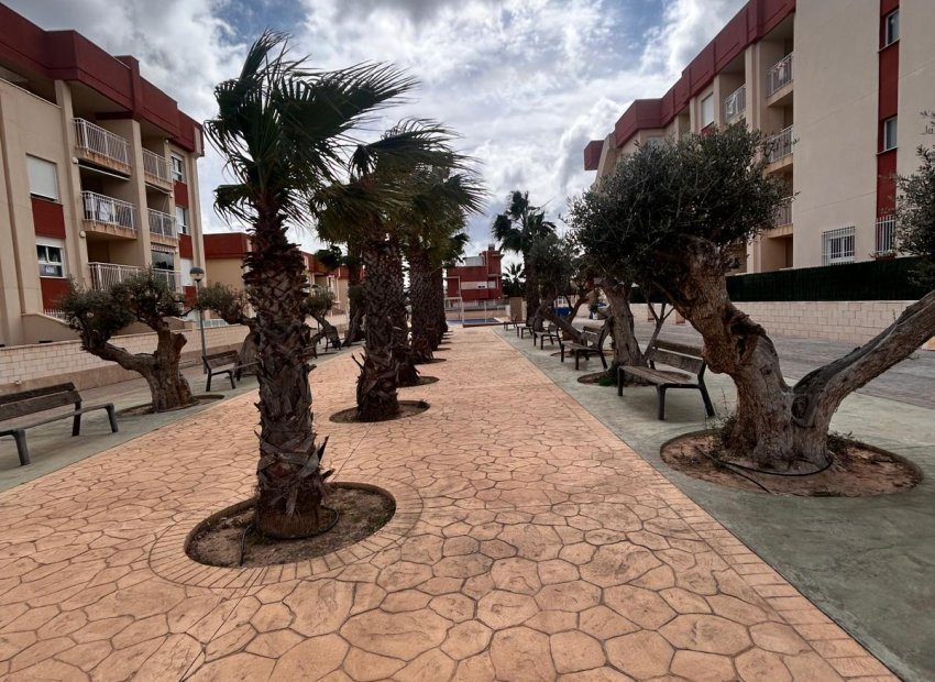 Nowy budynek - apartment - Orihuela