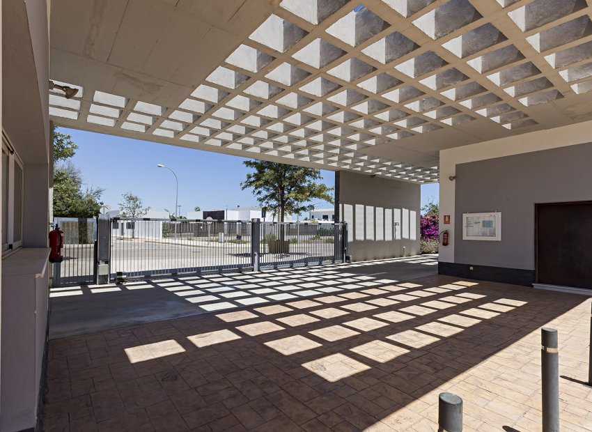 Nowy budynek - apartment - Vera