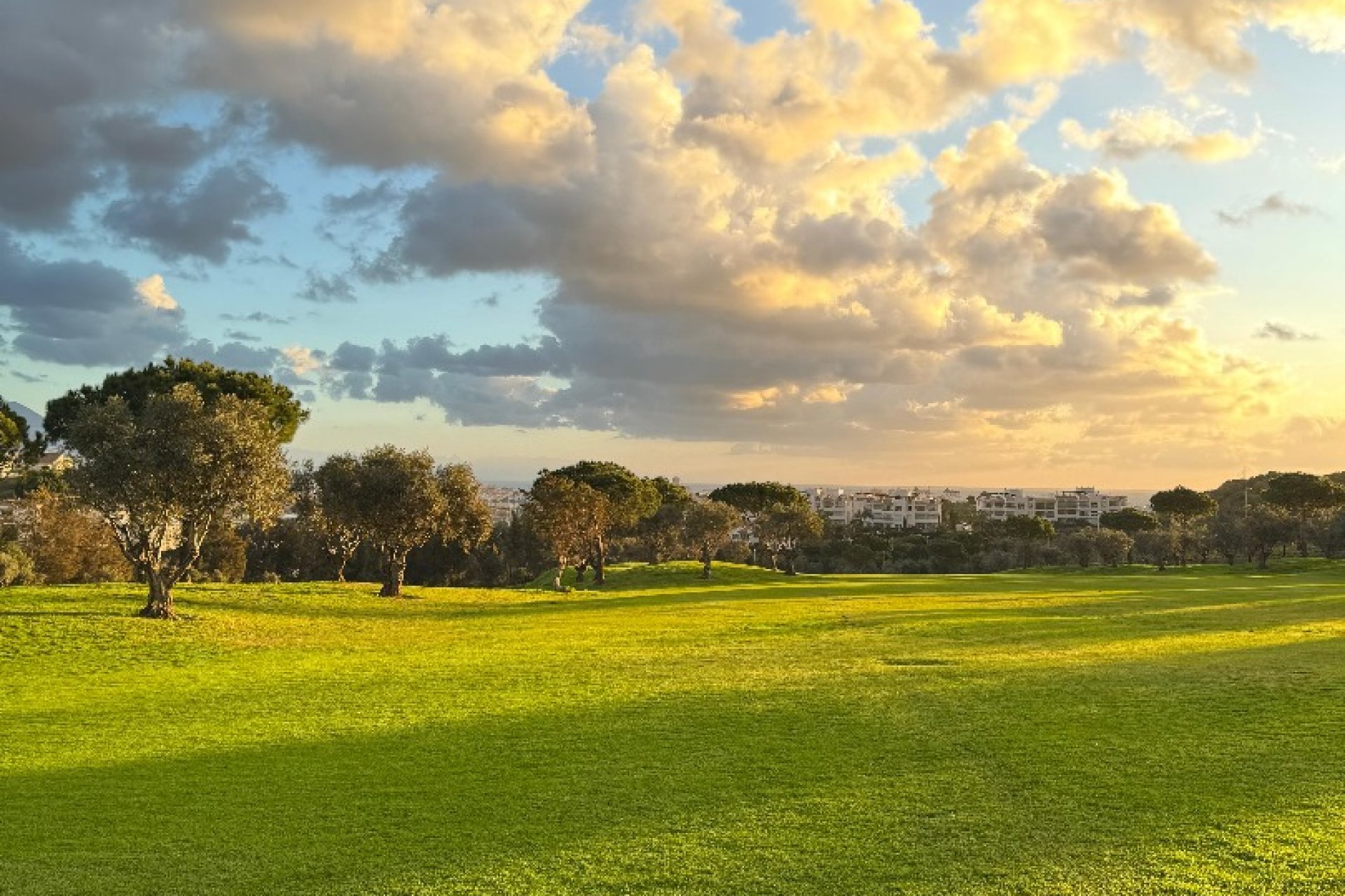 Nowy budynek - Daszek - Las Lagunas de Mijas