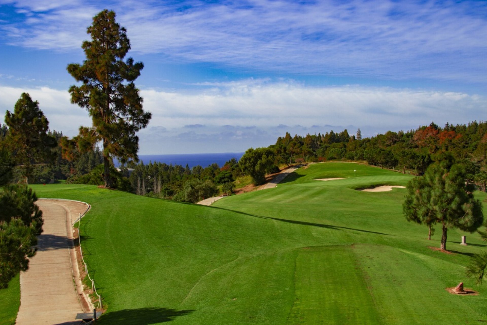 Nowy budynek - Daszek - Las Lagunas de Mijas