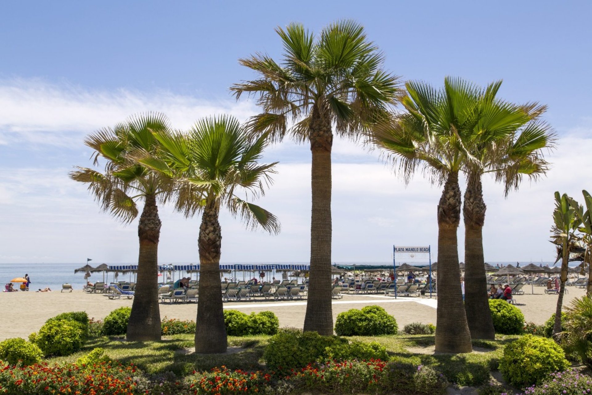 Nowy budynek - Daszek - Las Lagunas de Mijas