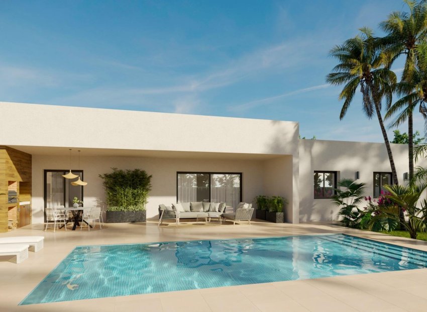 Nowy budynek - detached - Aspe