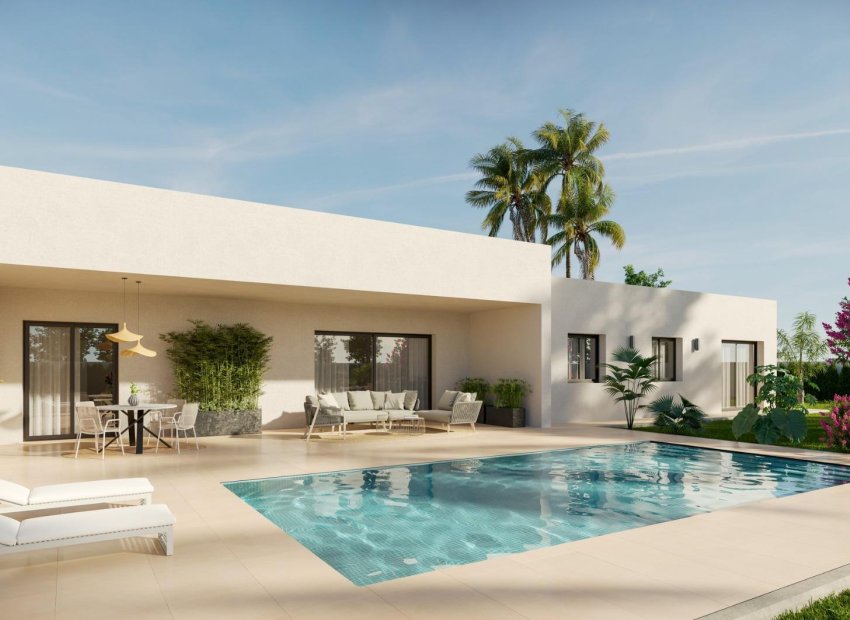 Nowy budynek - detached - Aspe