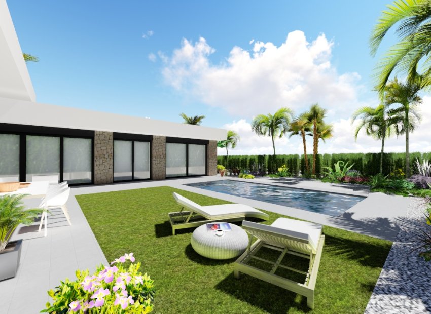 Nowy budynek - detached - Calasparra