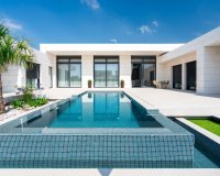 Nowy budynek - detached - Molina de Segura