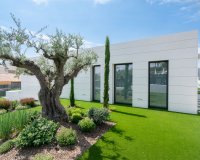 Nowy budynek - detached - Molina de Segura