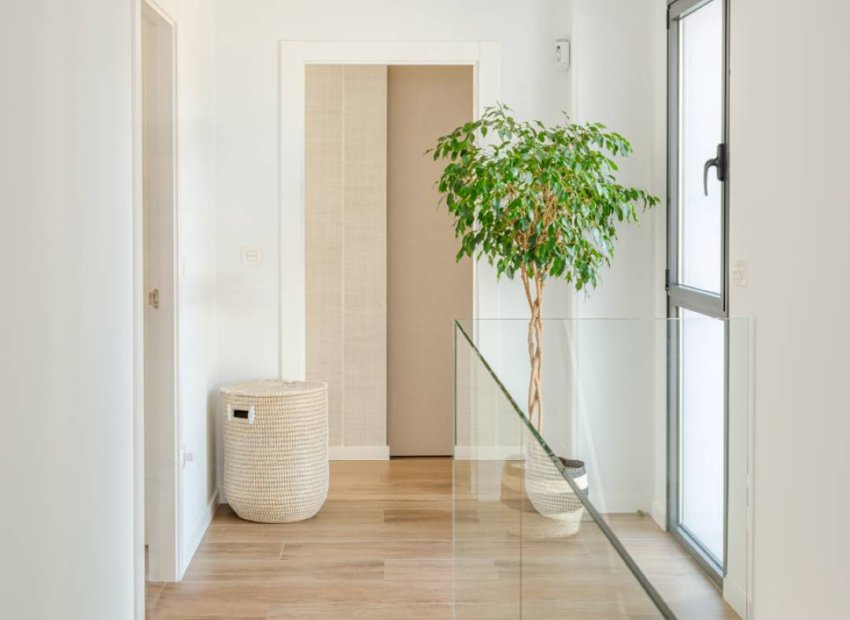 Nowy budynek - detached - Molina de Segura