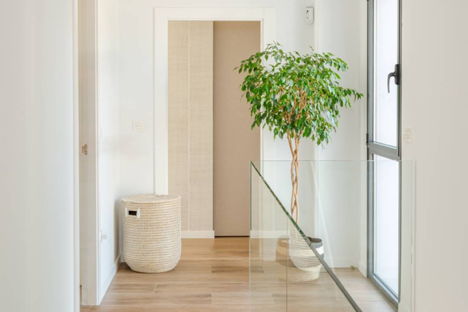 Nowy budynek - detached - Molina de Segura