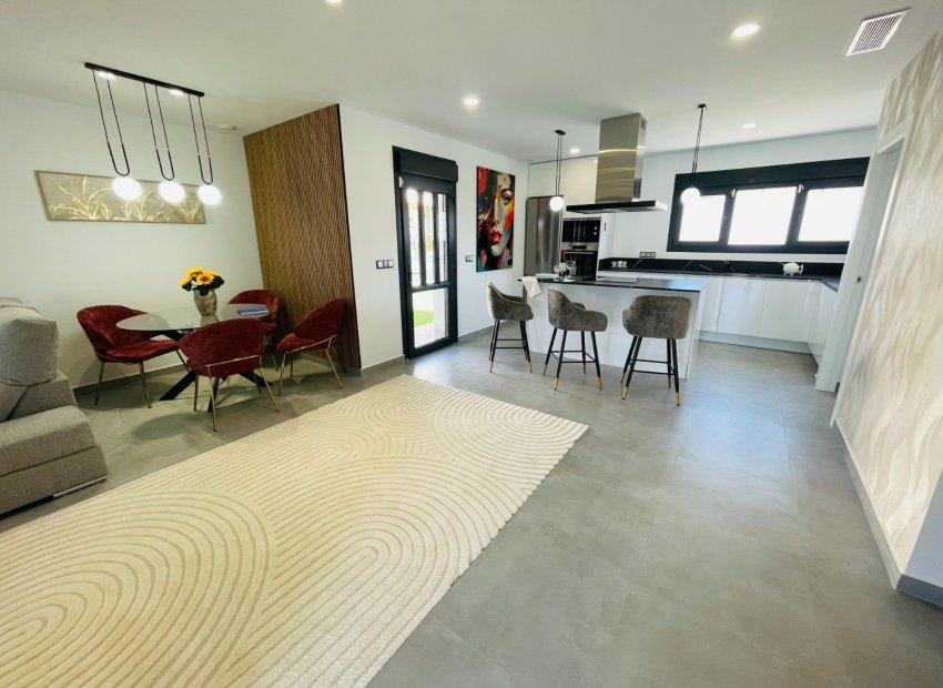 Nowy budynek - detached - Torrevieja