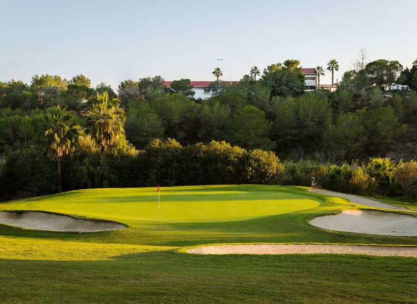 Nowy budynek - ground-floor - Algorfa