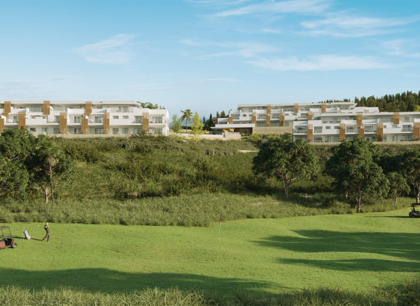 Nowy budynek - ground-floor - Casares