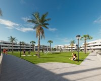 Nowy budynek - ground-floor - Guardamar del Segura