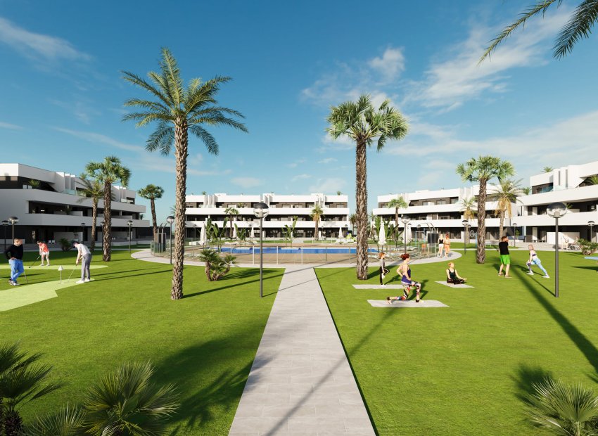 Nowy budynek - ground-floor - Guardamar del Segura