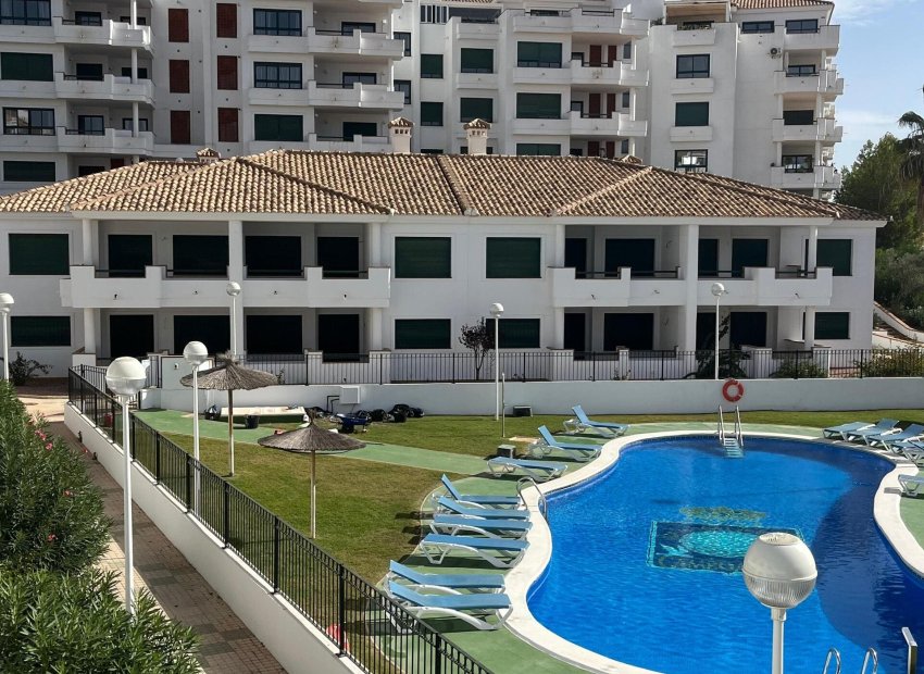 Nowy budynek - ground-floor - Orihuela