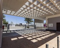 Nowy budynek - ground-floor - Vera