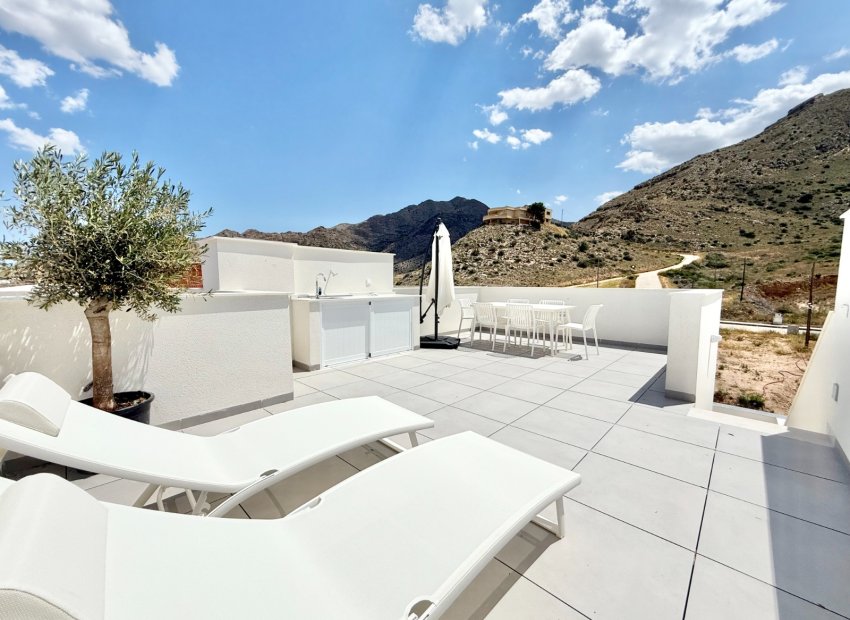 Nowy budynek - high-bungalow - Cox