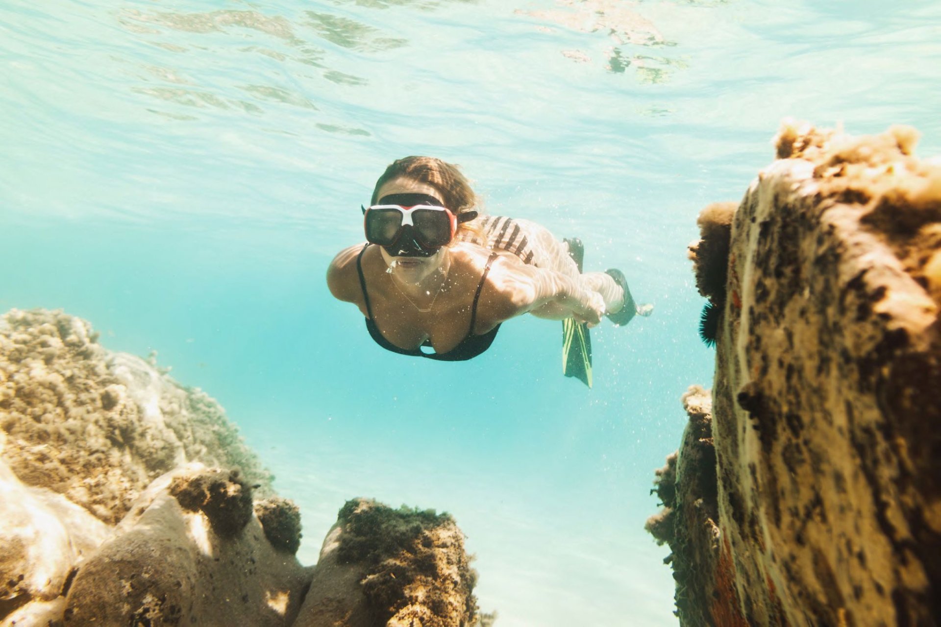 Új építés - apartment - La Manga del Mar Menor