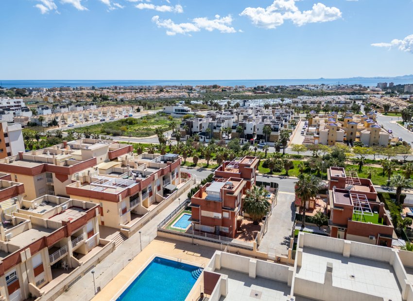 Új építés - apartment - Orihuela Costa