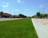 Új építés - apartment - Pilar de la Horadada