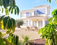 Új építés - detached - Purias