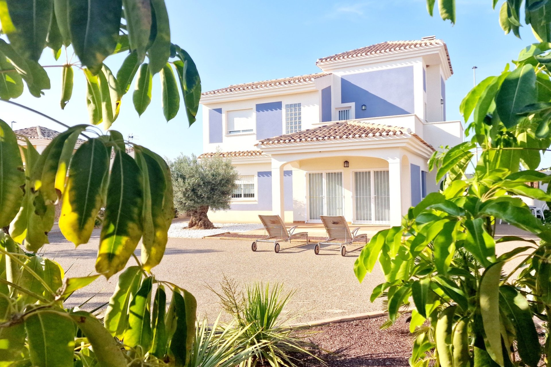 Új építés - detached - Purias