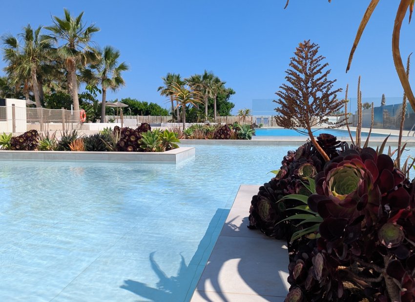 Új építés - ground-floor - Denia - Dénia