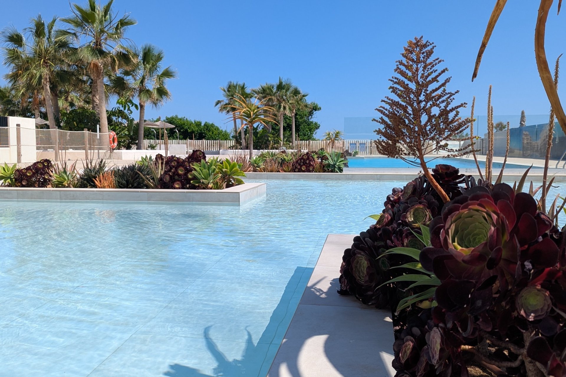 Új építés - ground-floor - Denia - Dénia