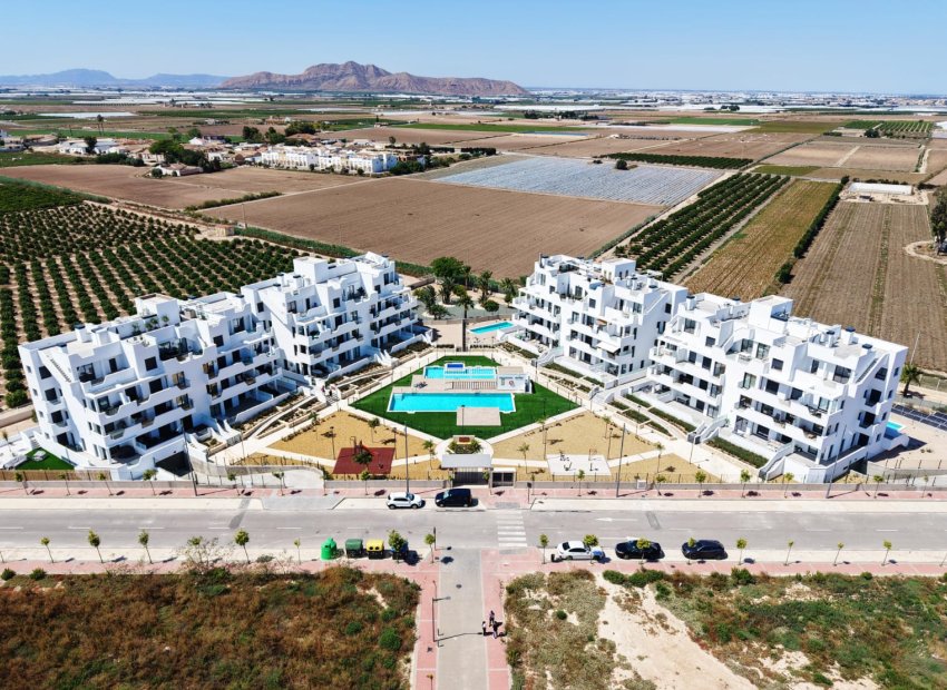 Új építés - ground-floor - Torre-Pacheco