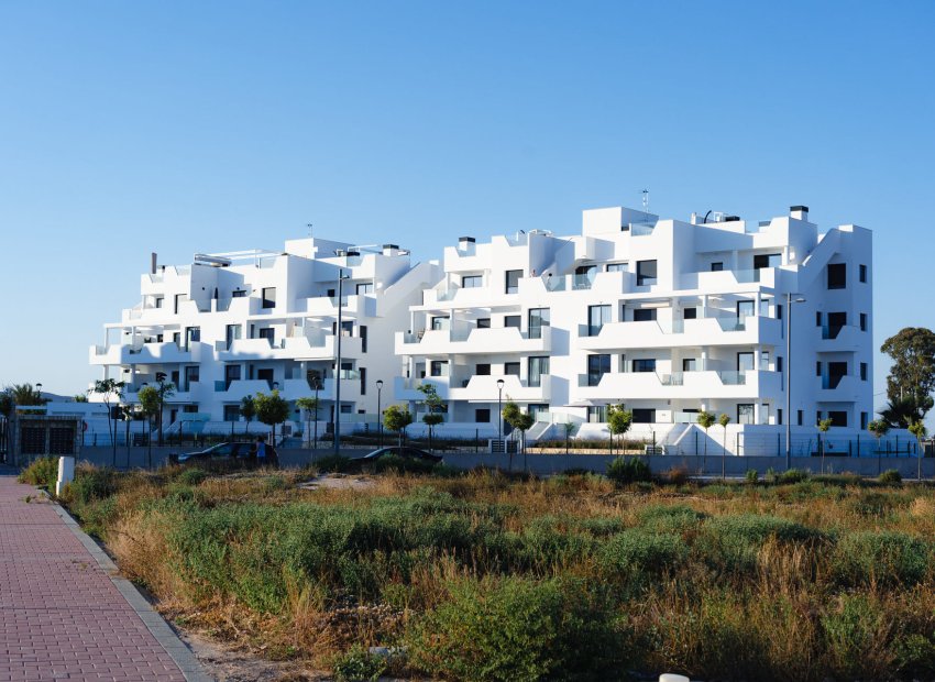 Új építés - ground-floor - Torre-Pacheco