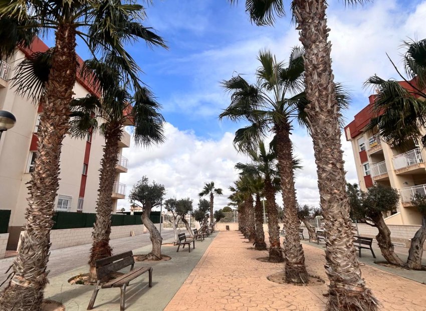 Új építés - Penthouse - Orihuela Costa