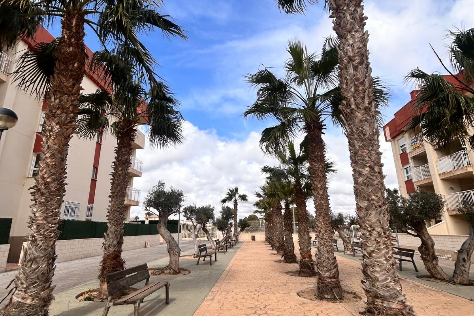 Új építés - Penthouse - Orihuela Costa