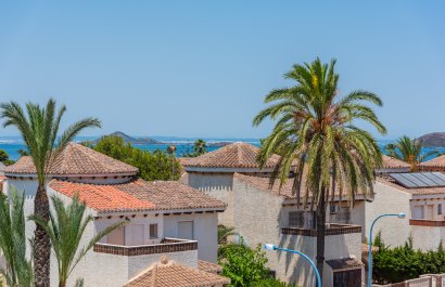 Nowy budynek - detached - Playa Paraiso