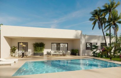 Nowy budynek - detached - Aspe