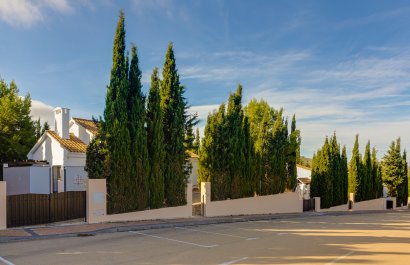 New Build - detached - Fuente Alamo