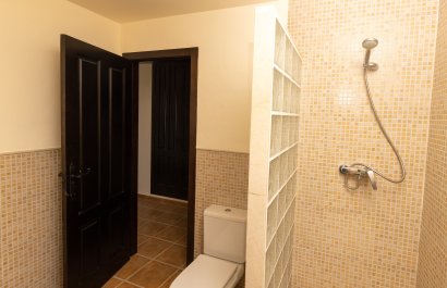 New Build - detached - Fuente Alamo