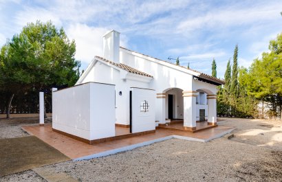 Új építés - detached - Fuente Alamo