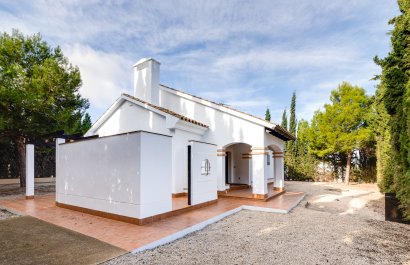 Új építés - detached - Fuente Alamo